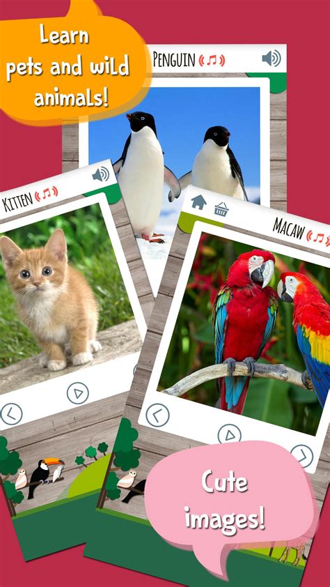 Kids Zoo Apk For Android Download
