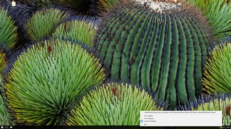 Top 117 Bing Wallpaper Of The Day Windows 10