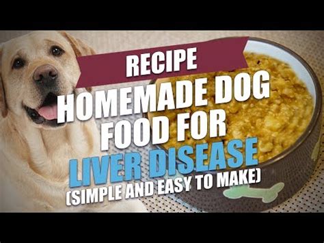 To put less pressure on the kidneys' filtering work, this diet calls for lower protein and low phosphorous foods. Homemade Dog Food for Liver Disease Recipe (Simple and ...