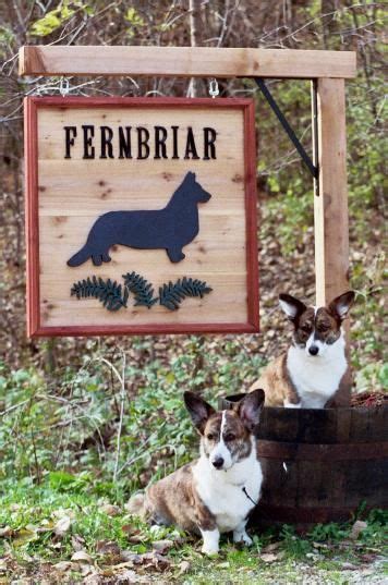 I do not have waitinglists and i do not take deposits on puppies that are not born yet. Fernbriar - Cardigan Welsh Corgis in MN | Corgi breeders ...
