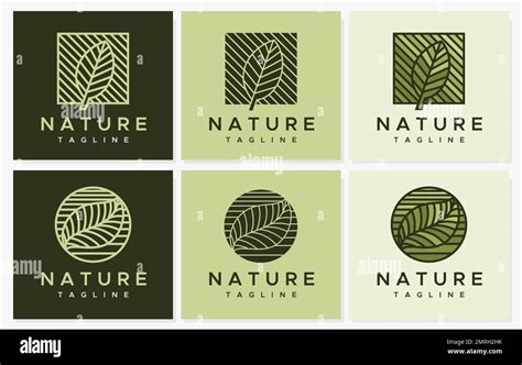 Abstract Leaf Line Logo Design Collection Modern Leaf Logo Graphic Set