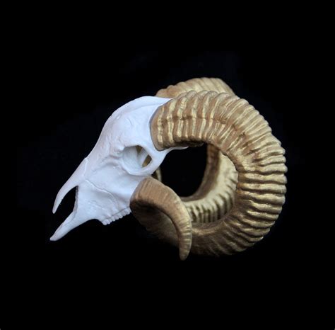 Ram Skull Horn White And Gold Antler Goat Skull Animal Etsy