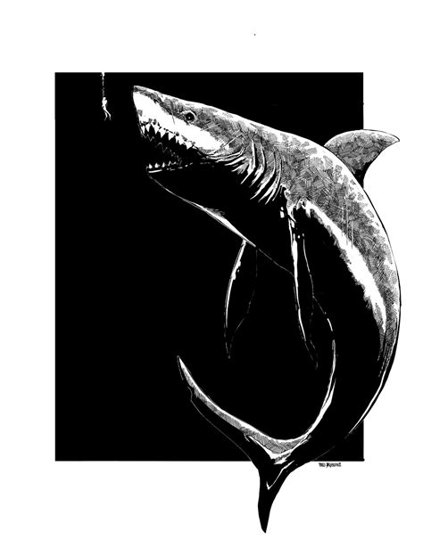 Shark Bait By Me Digital Drawing 2022 Rart