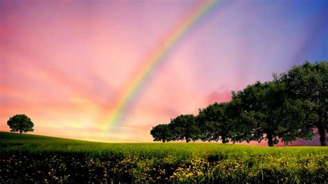 Nature Rainbow Hd Wallpaper