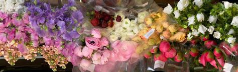 Florabundance Wholesale Flowers For Floral Designers