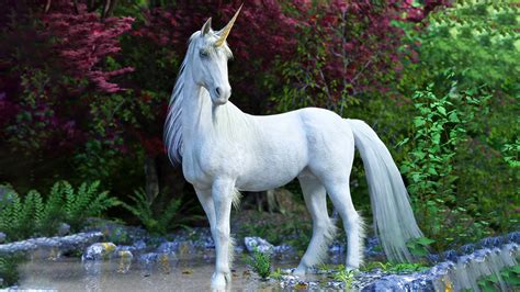 10 Magical Info About Unicorns Top Organic Gardening
