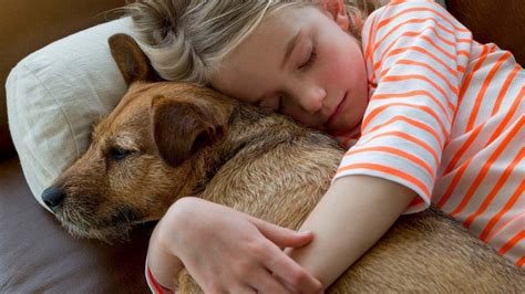 Top Reasons To Adopt A Pet The Humane Society Of The United States