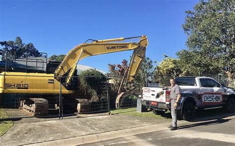Pest ex specialise in the treatment and prevention of termites and common unwanted pests. Gold Coast Home Bulldozed Due to Severe Termite Damage ...