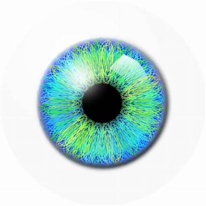 Eye Eyes Drawing Transparent Commons Wikimedia Ojos