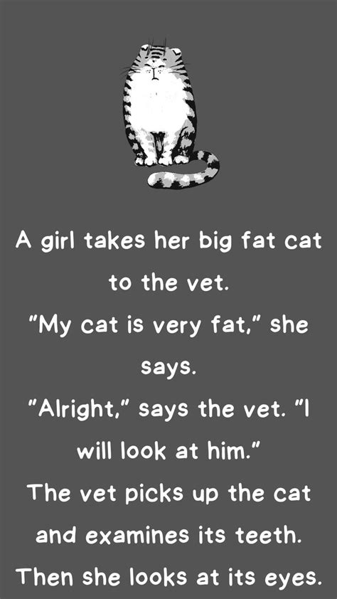 A Girl Takes Her Big Fat Cat To The Vet Fat Cats Funny Funny Long Jokes Read News Happy Life