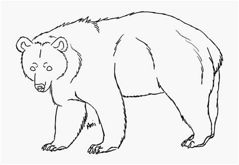 How to draw a cartoon person sick in bed. Black Bear Drawing - Bear Line Art Png , Free Transparent ...