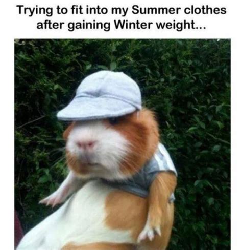 Here are some memes about the first day of summer that are totally relateable and quite funny. Get Ready For The Summer With This Summer Memes (42 pics)