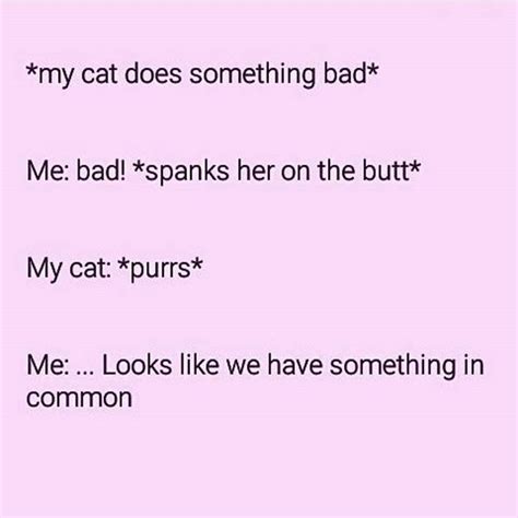 248 Best Spank Images On Pinterest Funny Stuff Quote