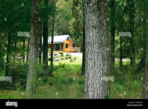 Hunting Island Cabins Cabin