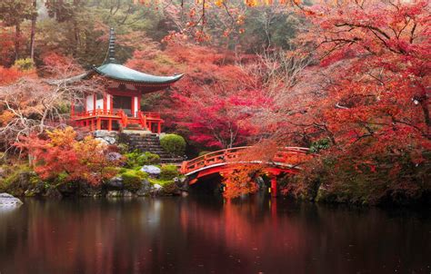 Обои осень лес мост река Япония храм Japan Forest Kyoto River