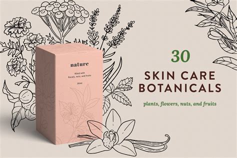 Skin Care Botanicals 30 Designs Skin Care Botanical Herbs
