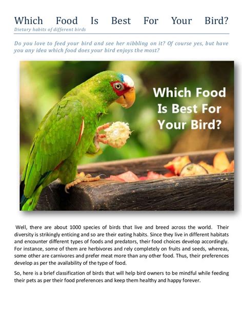 Which Food Is Best For Your Bird Dietary Habits Of Different Birds