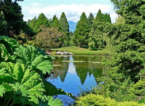 The Vandusen Botanical Garden In Vancouver Canada Is A Beauty