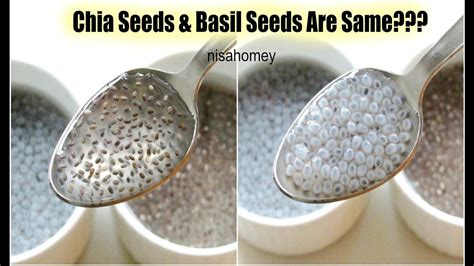 Organic chia seeds for every purpose is available on alibaba.com. Chia seeds weight loss - Body care