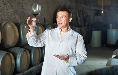 Professional Taster Posing With Glass Of Wine Stock Image Image Of Ageing Alcohol 79819151