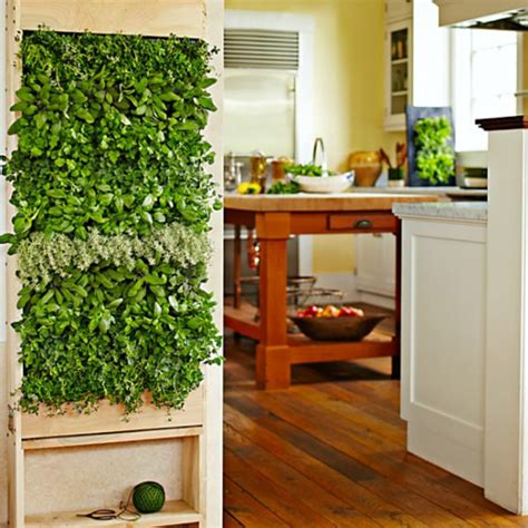 8 Simple Ways To Create An Indoor Vertical Garden In Your Home