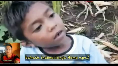 Story Wa Lucu Bocah Korslet Terjemah Bahasa Inggris Youtube
