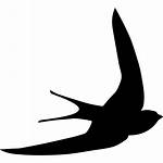 Bird Swift Flying Shape Icon Birds Template