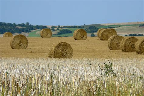 Bales Of Hay Free Photo Download Freeimages