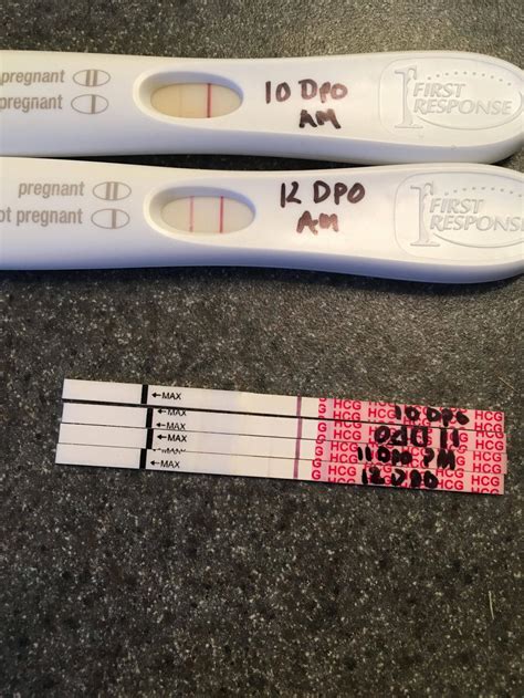 Pregnancy Test Results 10 Dpo Pregnancy Test