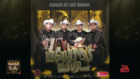 Los Gallitos Del Sur Corrido De Luis Burgos Youtube