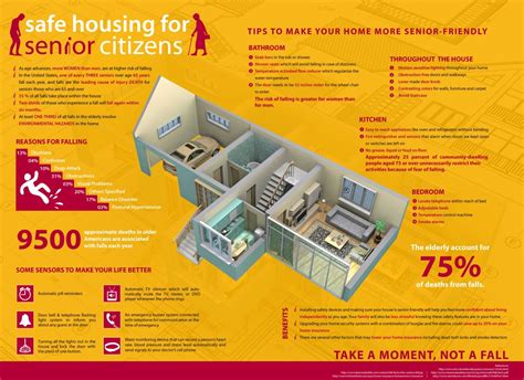 Safe Housing For Senior Citizen Infographic Life Insurance For Seniors