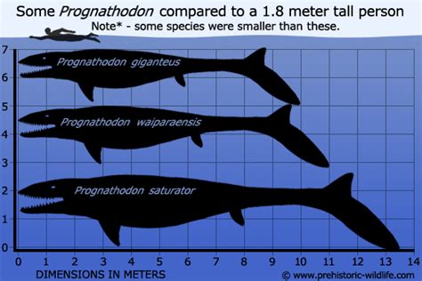 Predator x is back, hunting in deep water where it's able to use it's full power, derived from it's massive size. Prognathodon