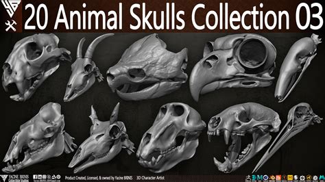 Yacine Brinis Collectible Studios 20 Animal Skulls Collection 03