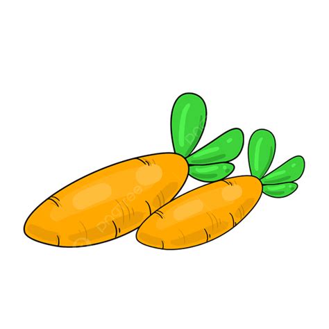 Carrot Clipart Vector Carrot Hand Draw Cartoon Simple Png Image For