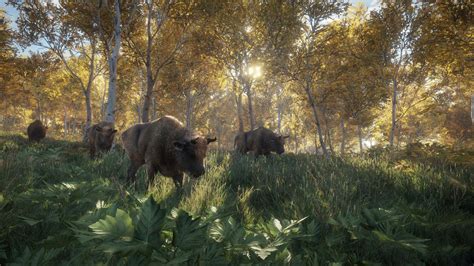 In addition to its rich single player experience, thehunter: The Hunter Call Of The Wild Wallpapers High Quality ...