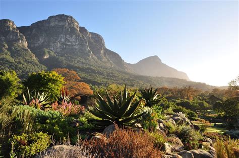 Stop 20 Kirstenbosch Garden City Sightseeing