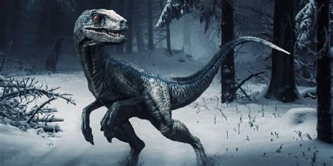 Paired with blue's uncanny abilities to plan and set traps, and a bite equivalent to a spotted hyena, this makes her a raptor to be reckoned with. Jurassic World 3 Theory: How Dominion Ends The Franchise