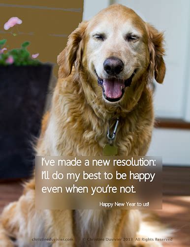Golden Retriever Quotes And Sayings Quotesgram