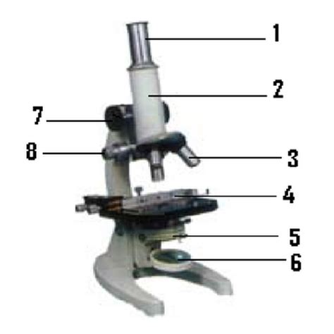 Contoh Soal Fisika Mikroskop Beserta Pembahasannya Riset