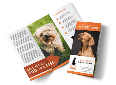Awesome Pet Sitting Tri Fold Brochure Template