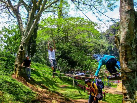 Mitos pemandian air panas guci memiliki banyak khasiat yaitu satu diantaranya bisa menyembuhkan sejumlah penyakit. Informasi Dan Harga Tiket Wahana Selecta Malang Jawa Timur ...