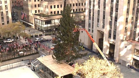 Watch Today Highlight Rockefeller Christmas Tree 2020 Watch A Time