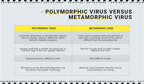 Difference Between Polymorphic And Metamorphic Viruses
