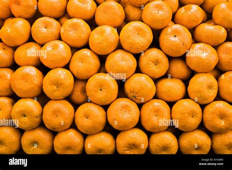 Mandarin Tangerine Citrus Reticulata Many Mandarins Stock Photo Alamy