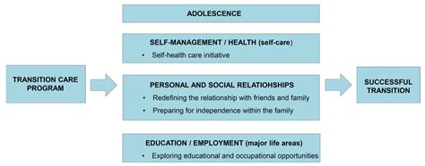 ijerph free full text an online based transition care program for adolescents with spina