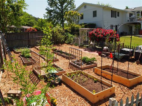 Vegetable Garden Layout Fenced Vegetable Garden Vegetable Garden