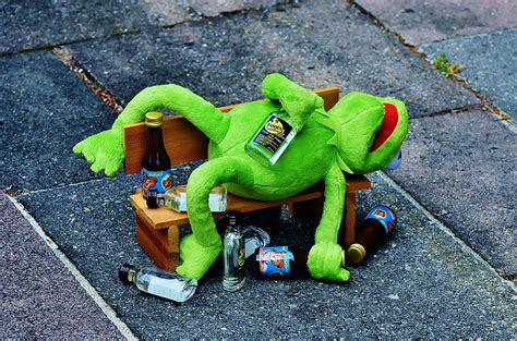 Kermit Frog Plush Toy Bench Daytime Drink Alcohol Drunk Bank