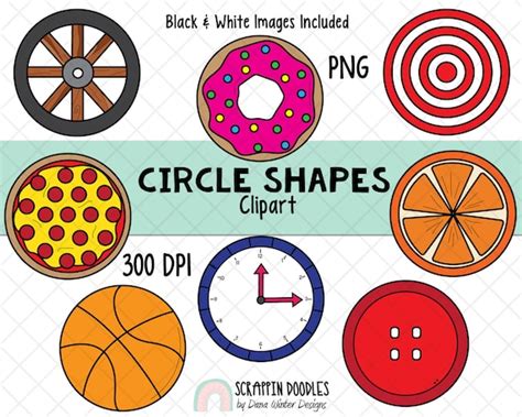 Shapes Clip Art Real Life Circle Shape Clipart Geometric Etsy India