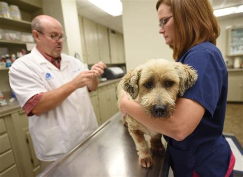 Rabies clinics at anne arundel county animal care & control resumed beginning thursday may 14, 2020. Rabies vaccination making an impact in Alabama | Local ...