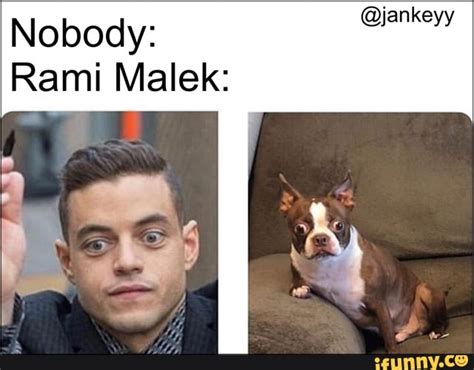 Rami Malek Meme Dog